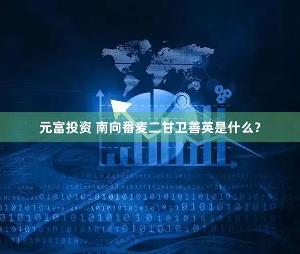 元富投资 南向番麦二甘卫善英是什么？